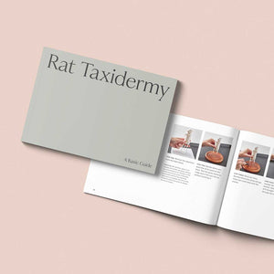 Rat Taxidermy Book